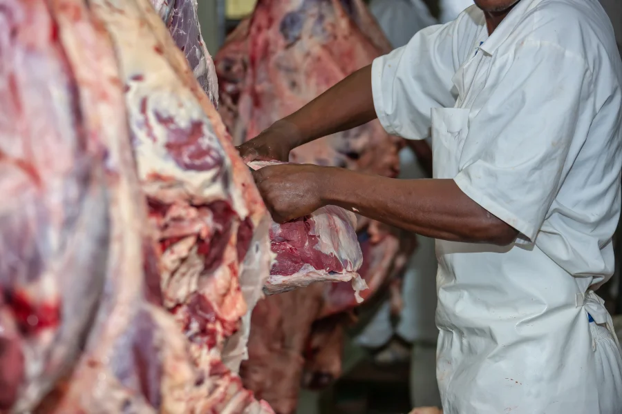 carne con hueso
