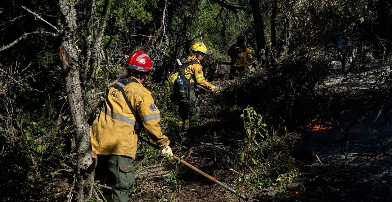 brigadistas rio negro