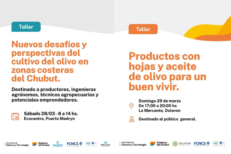 talleres sobre el cultivo del olivo-2