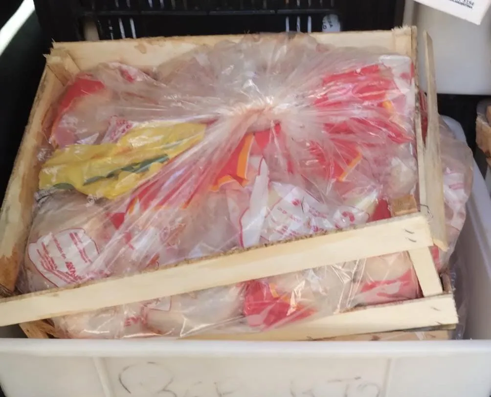 WhatsApp Image 2024-02-11 at 12.01.38