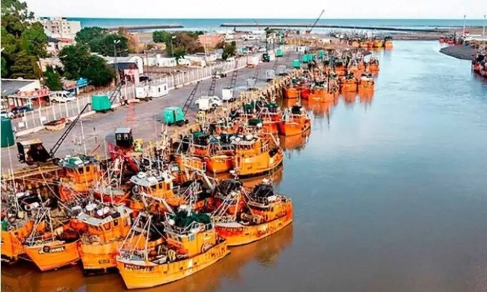 Flota Amarilla
