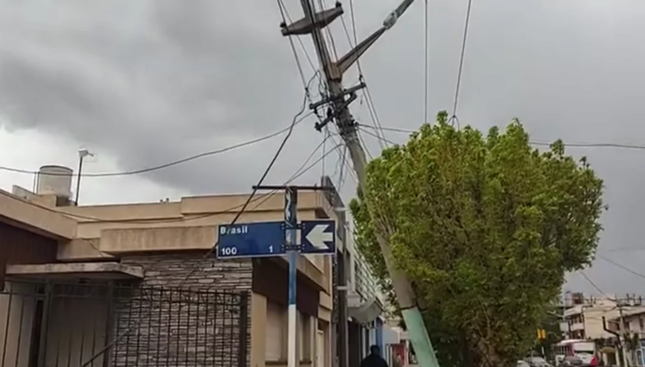 Camión impacto con palma de luz Trelew- Cooperativa