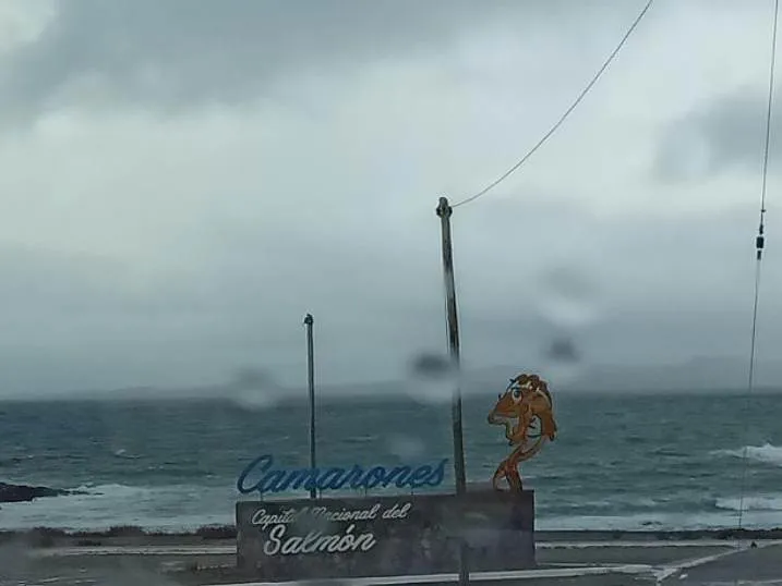 Camarones