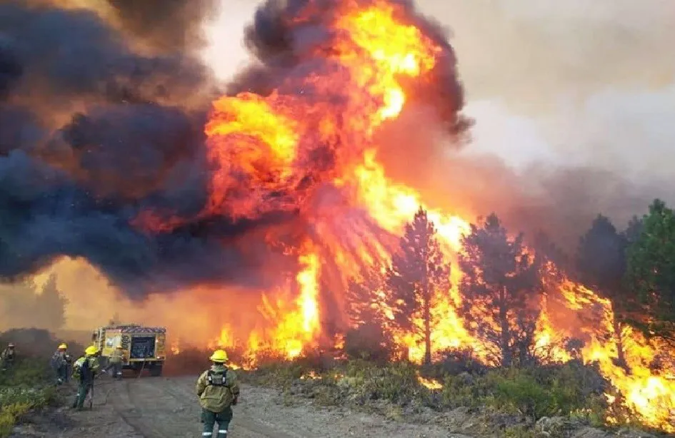 incendio bolson1