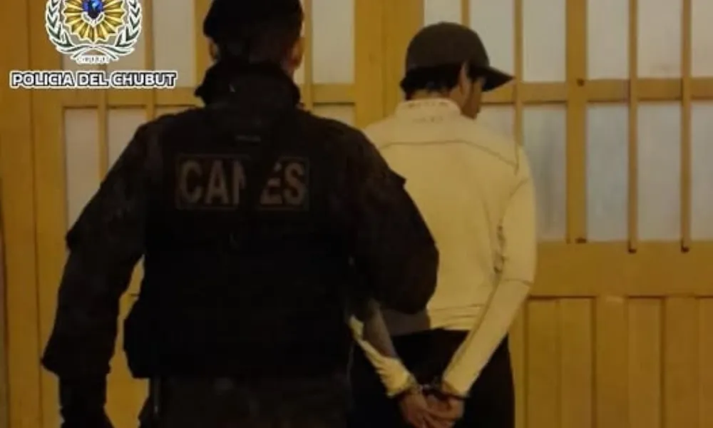 Detenido