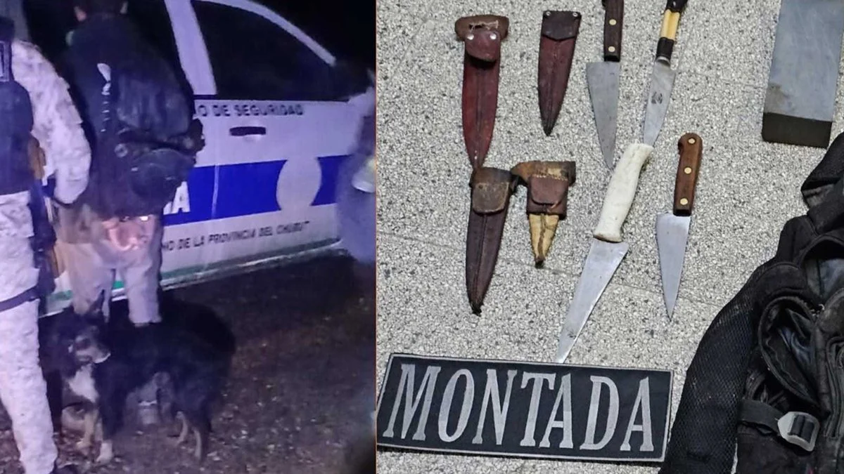 Chicho, el ovejero aleman detenido