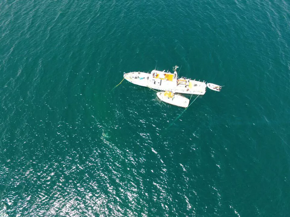 Imagen de drone cedida por José Almada, DroneSur. Puerto Madryn.