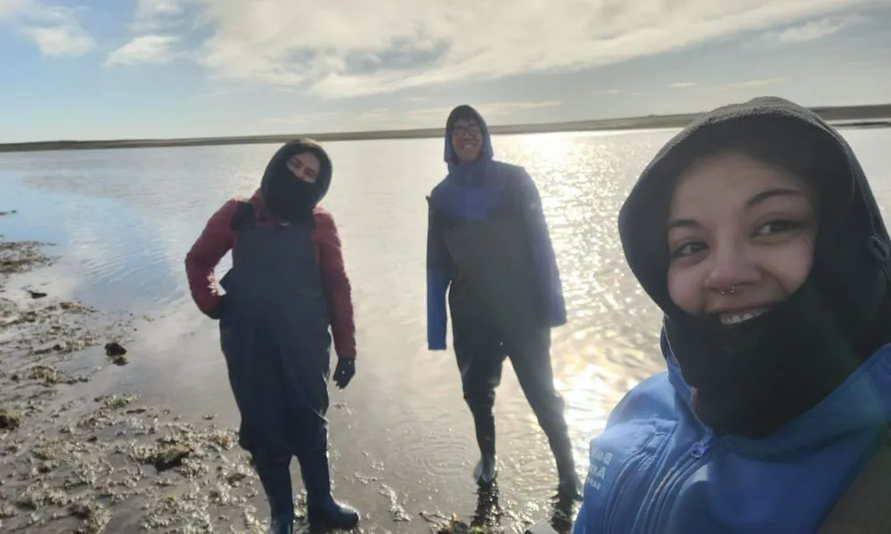 Científicos del CIMAS confirmaron que el alga Undaria ofrece refugio a invertebrados marinos