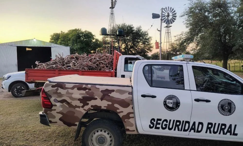 Un allanamiento en un campo rural de Loventué