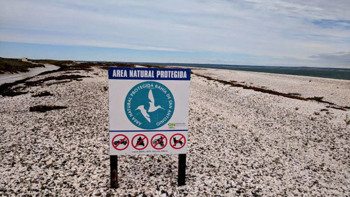 Área Natural Protegida Bahía de San Antonio