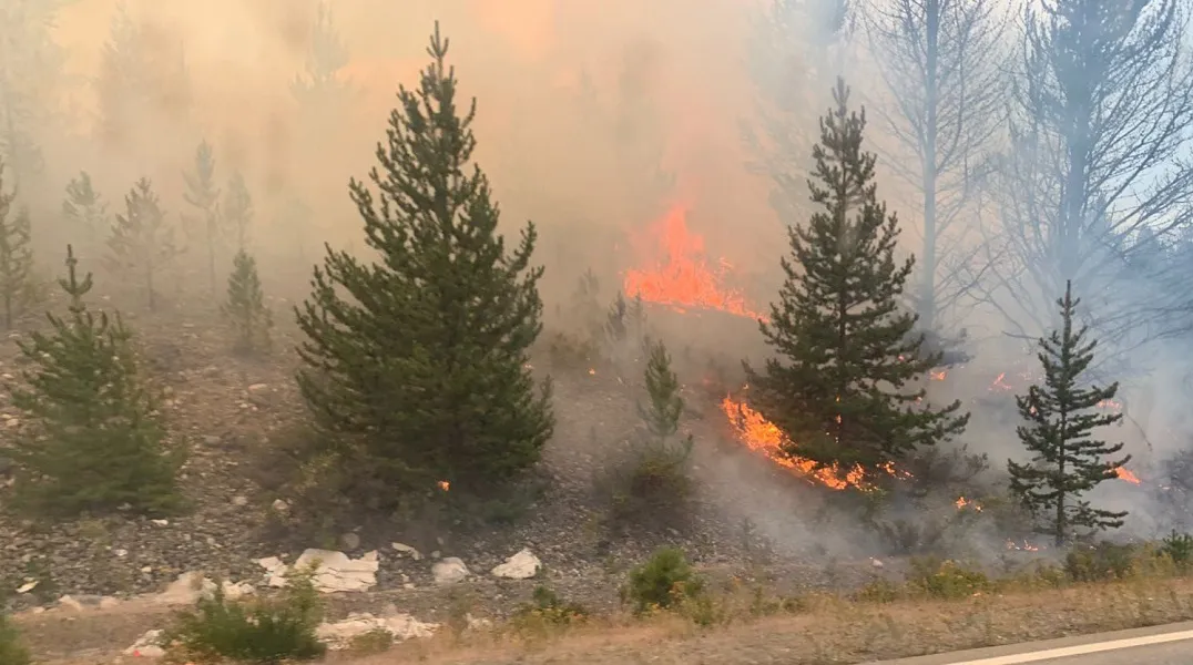 INCENDIO EN EPUEÉN