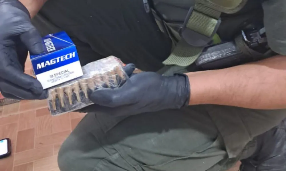 Incautan más de 10 mil municiones en un control de Gendarmería en Formosa