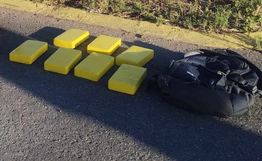 secuestran cocaína en la Pampa