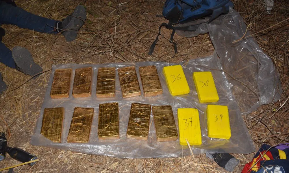 Gendarmes interceptaron a dos personas con 55 kilos de cocaína en una zona montuosa