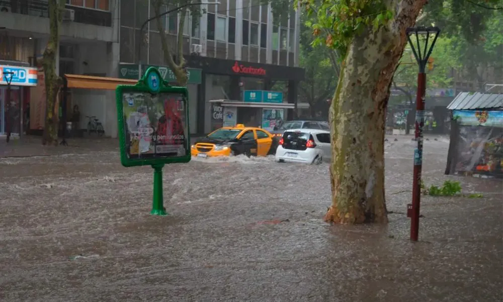 Mendoza temporal