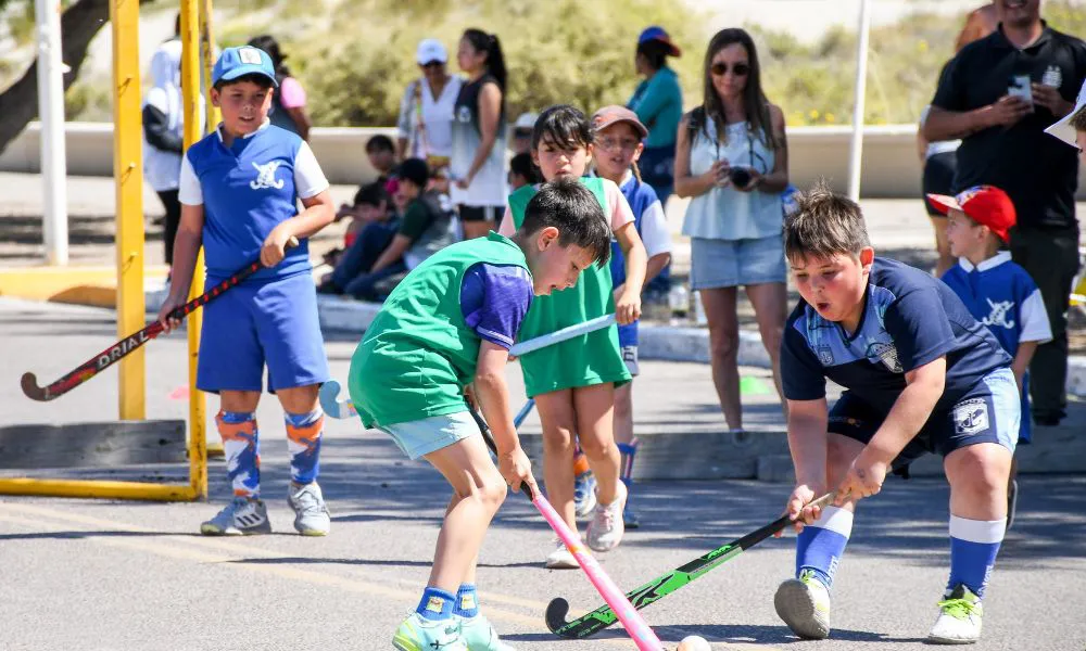 Talleres deportivos municipales