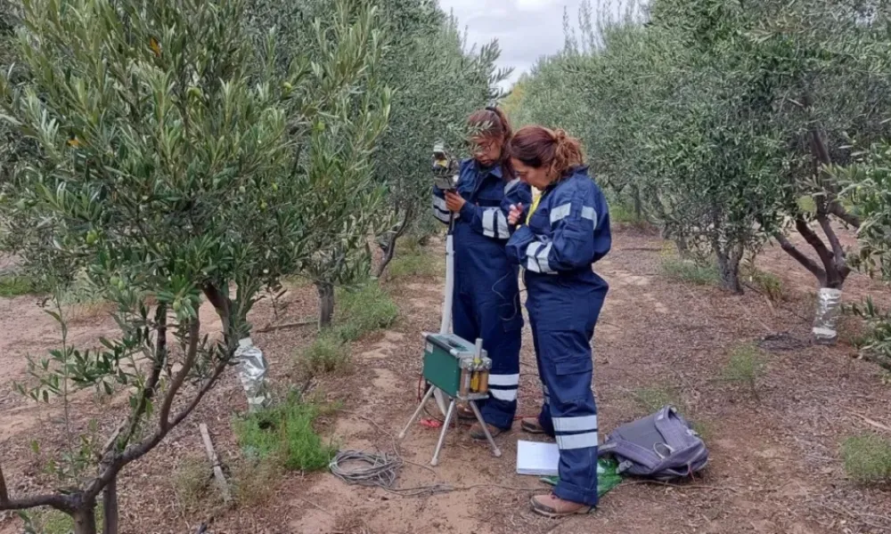 Investigadora nadia Arias