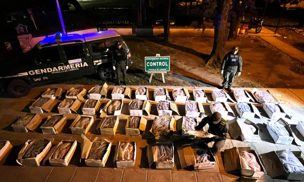 Encuentran una carga de sábalo sin cadena de frío