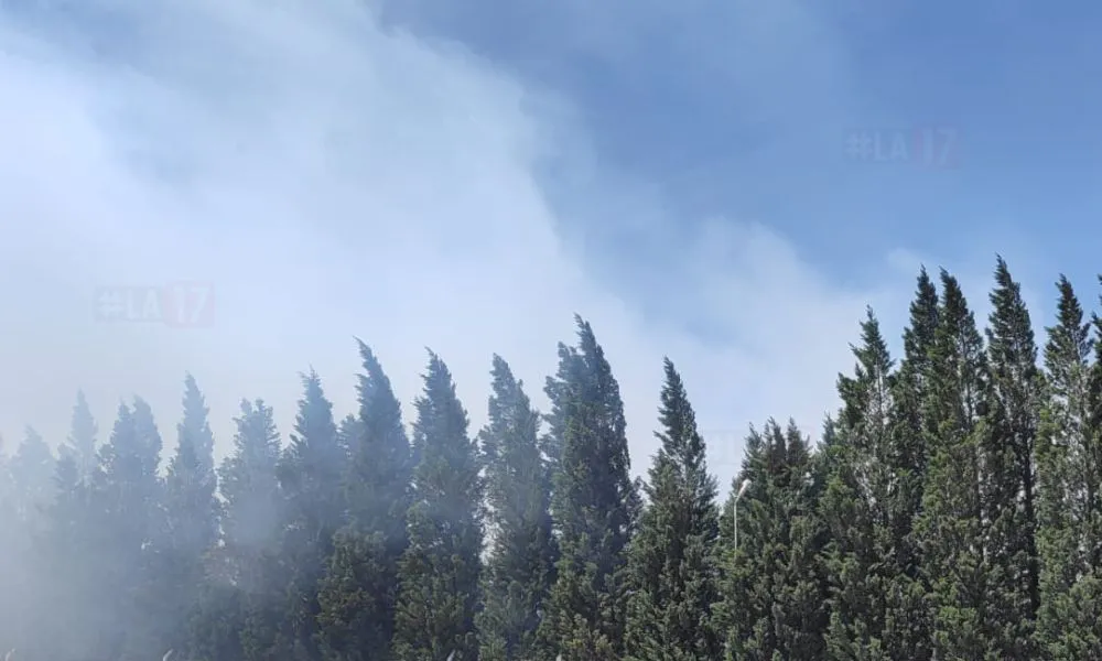Incendio en Conarpesa 2