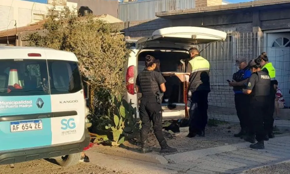 Fiat Dobló subió a la vereda
