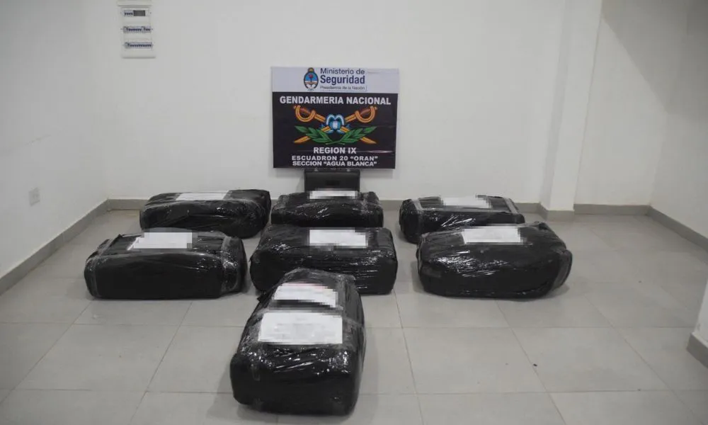 Gendarmes hallaron casi 850 kilos de marihuana y hojas de coca
