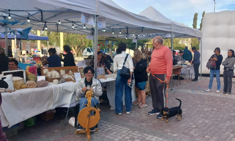 Encuentro provincial de artesanos