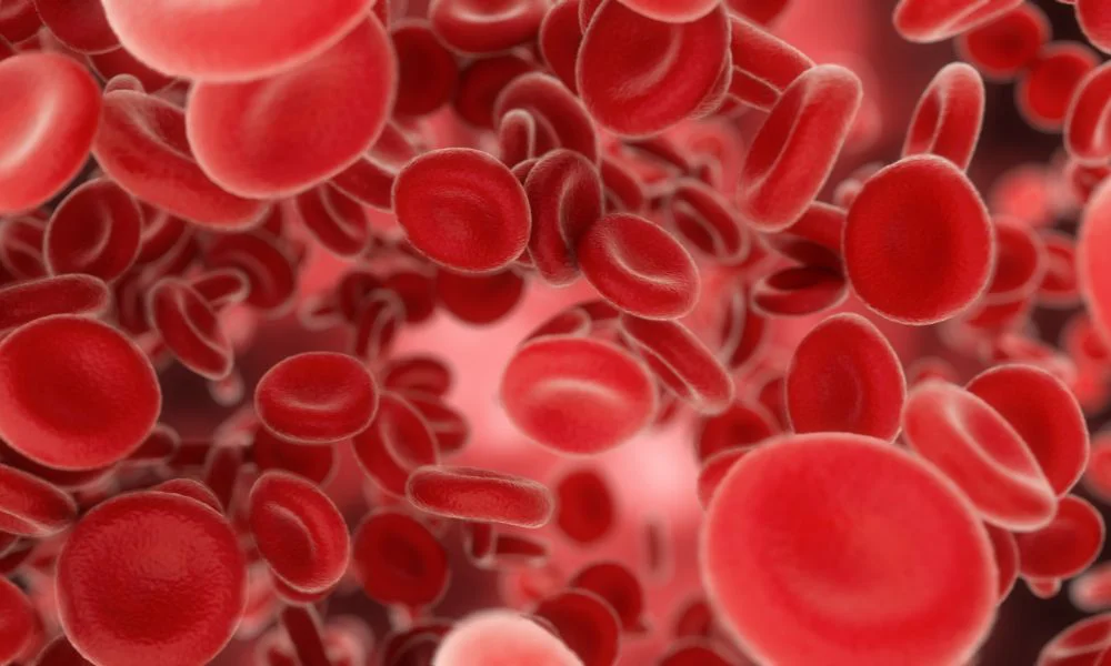Glóbulos rojos. Foto Freepik