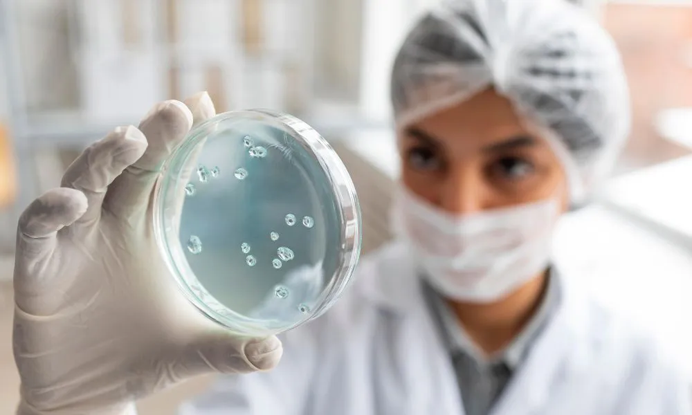 Descubrimientos que podrían transformar la inmunoterapia