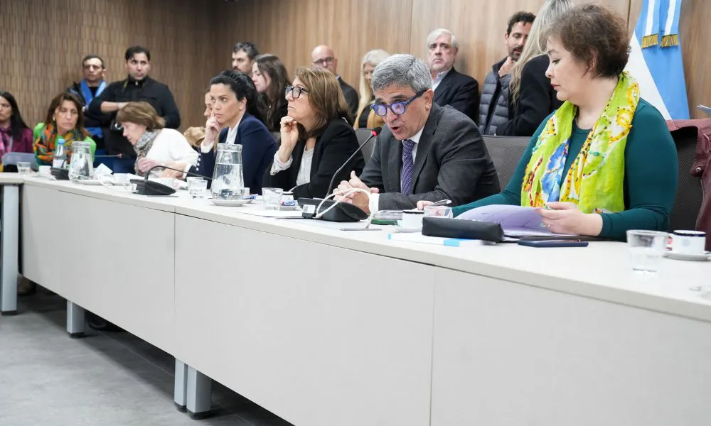 Comisión en Diputados sobre el fentanilo contaminado