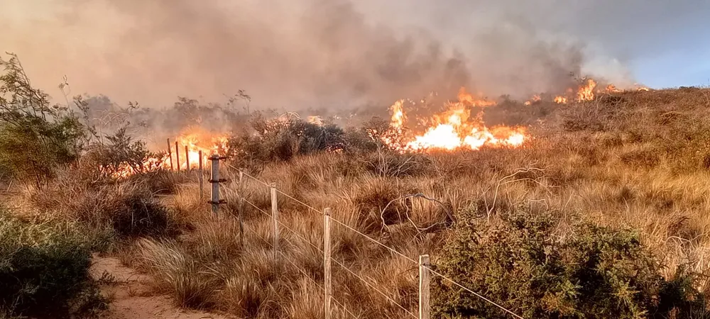 Incendio Madryn
