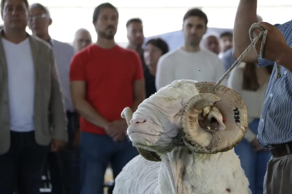 WhatsApp Image 2024-02-11 at 10.59.20 (1)