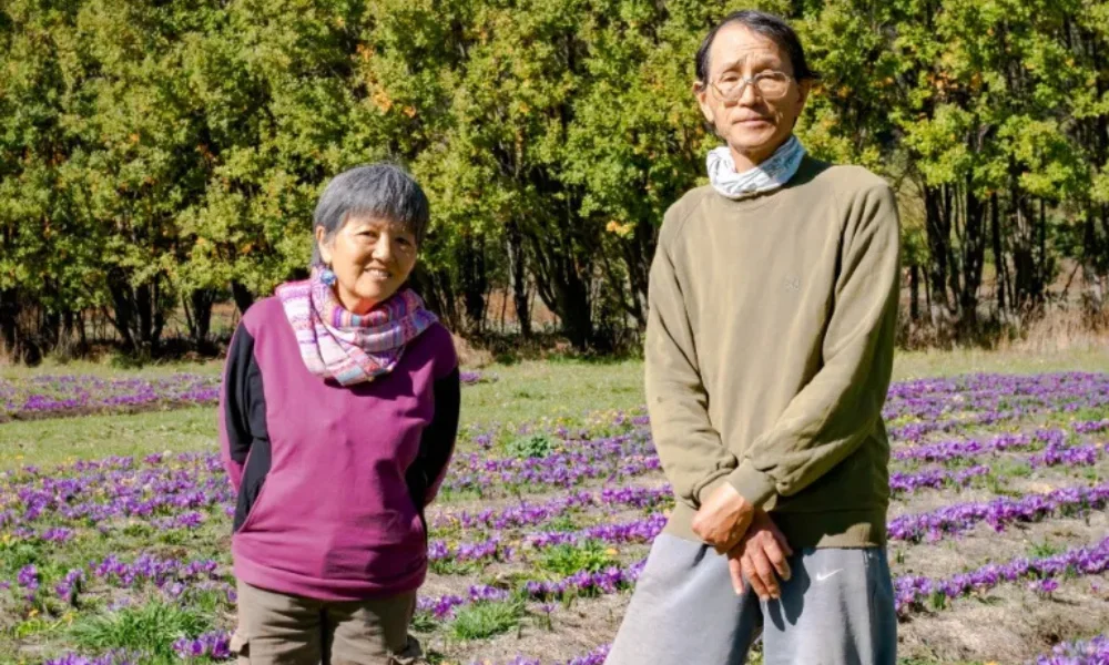 Amelia Nagasami y Toshifumi Shibata