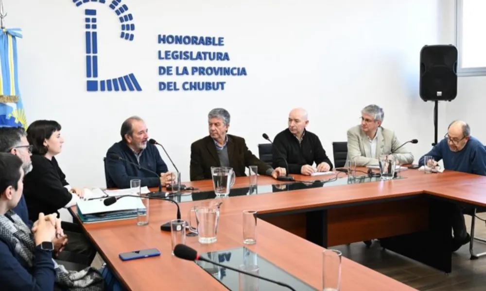 Presentación en la Legislatura