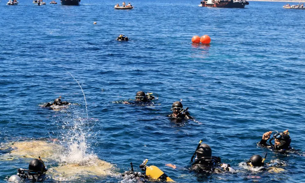 El arca de Puerto Madryn 2