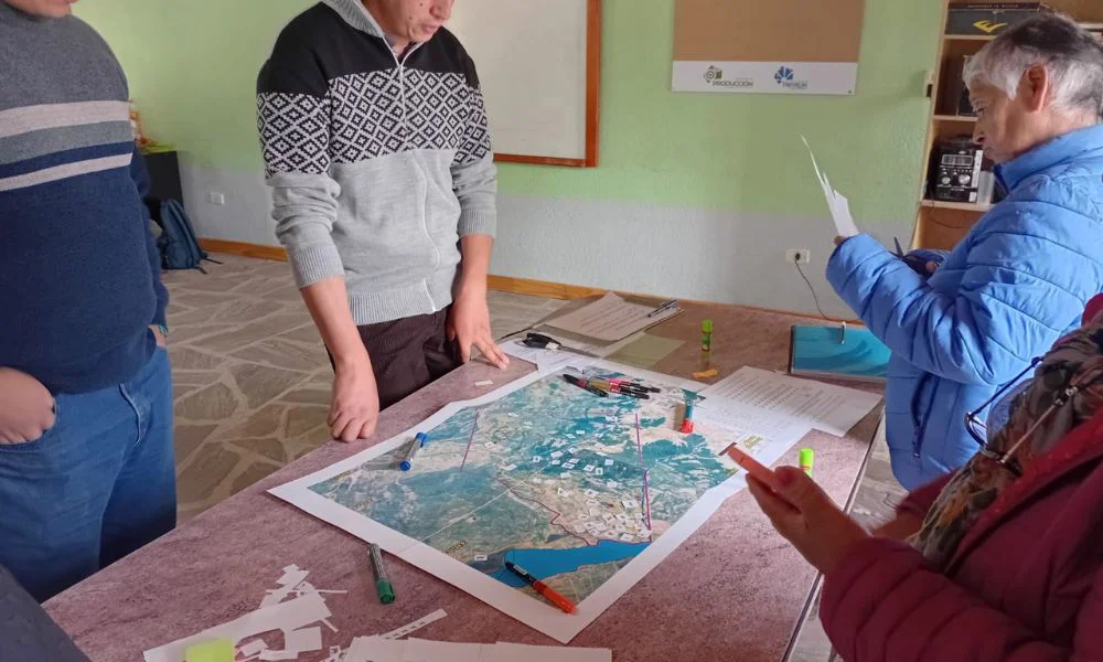 Manejo de bosque nativo en Lago Rosario
