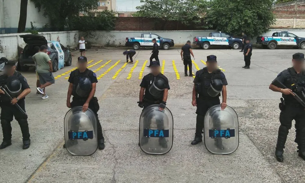 Incautan 210 kilos de cocaína con el sello del delfín en un operativo federal en Salta