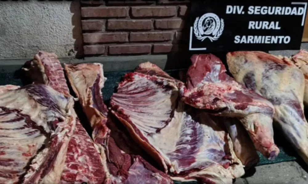 Incautan carne y armas en Sarmiento