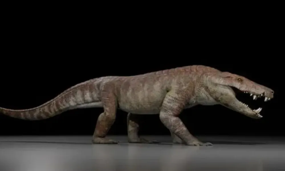 Kostensuchus atrox
