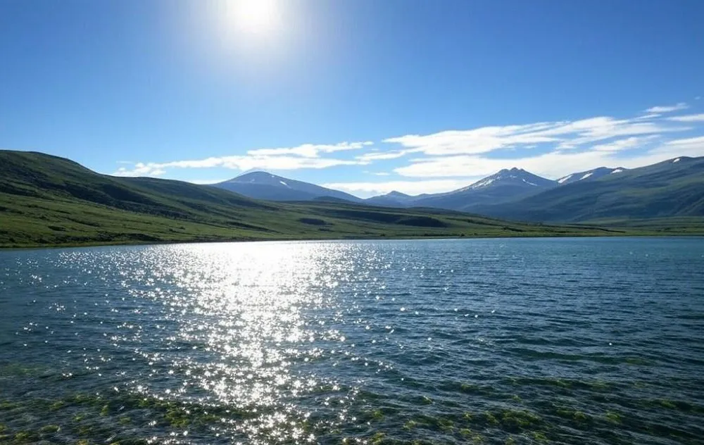 calor altas temperaturas en la Patagonia Foto: Grok