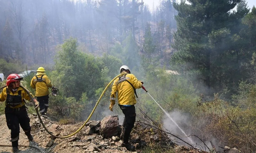 Incendio en Puerto Patriada
