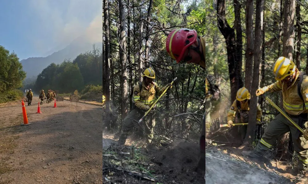 Brigadistas en el Incendio Los Alerces