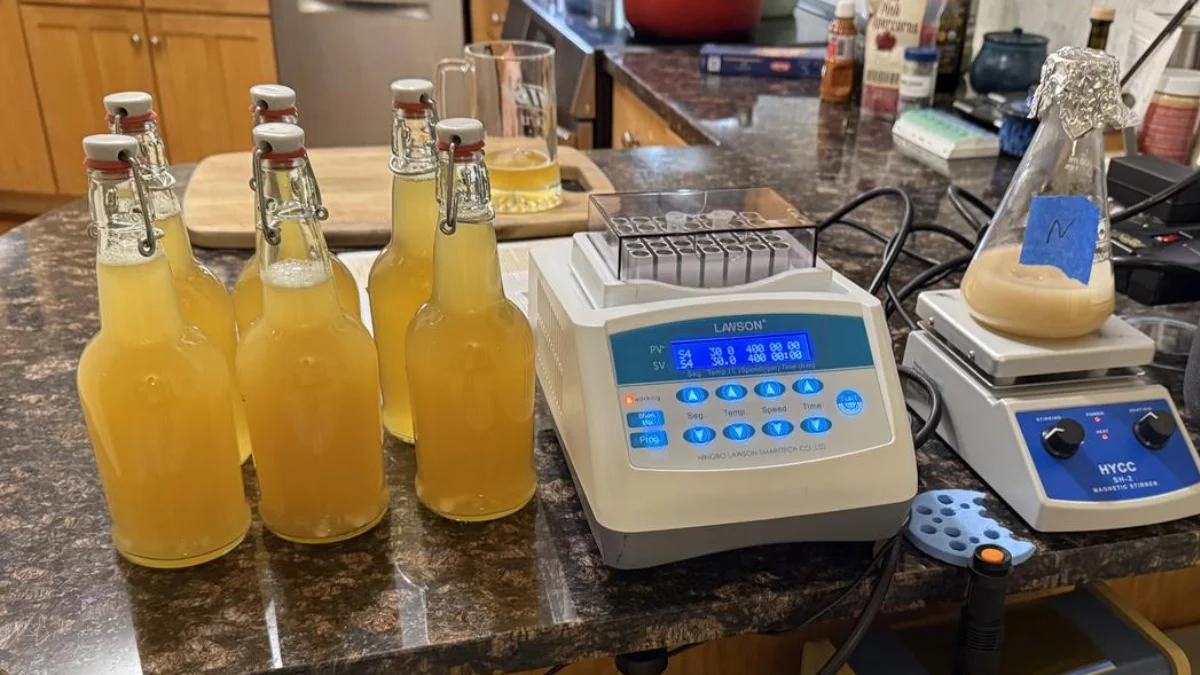 Cervezas curativas