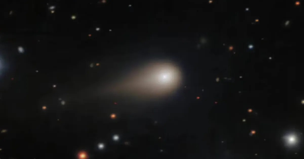 cometa raro