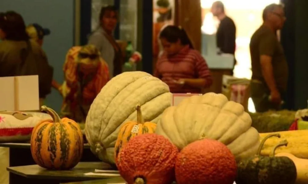 La organización espera repetir la convocatoria de otros años.