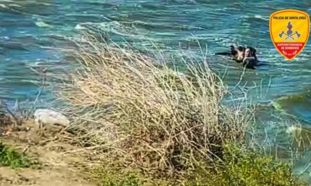 Caleta Olivia