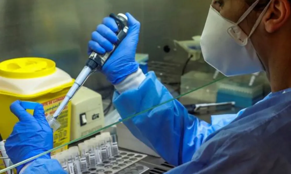 Becas postdoctorales