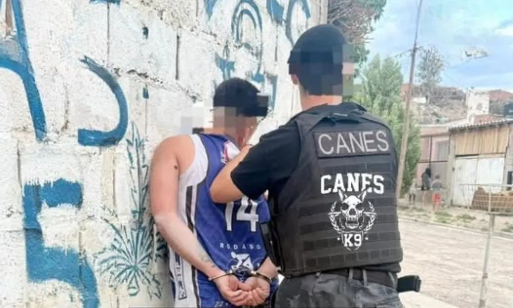 Detienen en Madryn a un hombre con pedido de captura