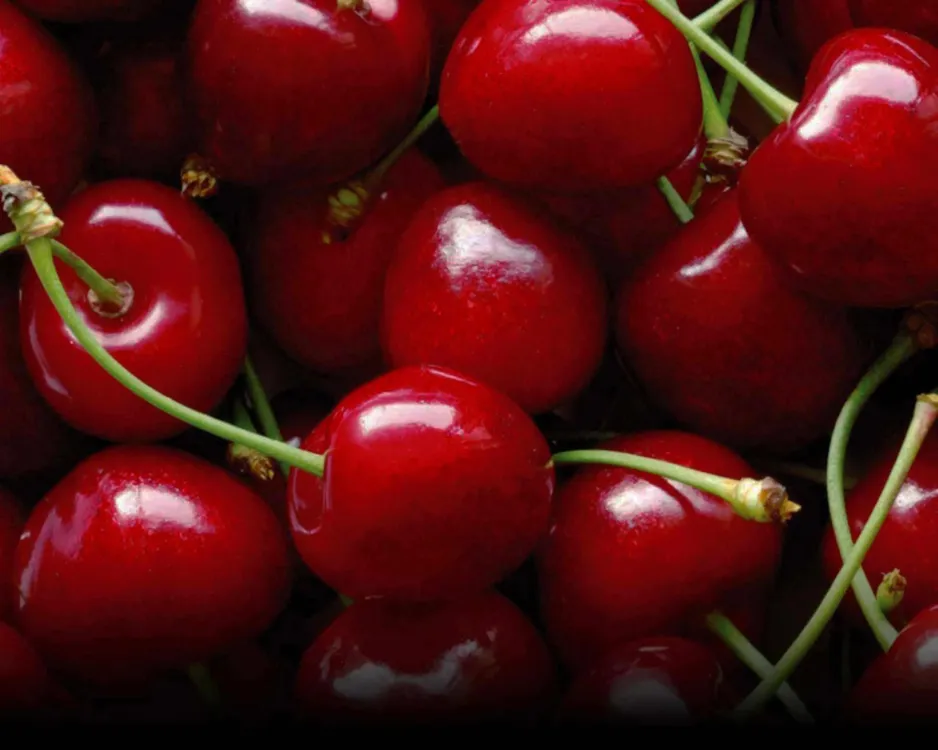 Cerezas