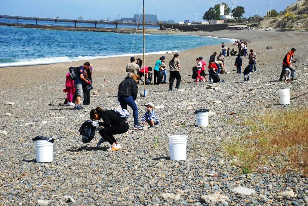 Limpieza de playas en Comodoro Rivadavia