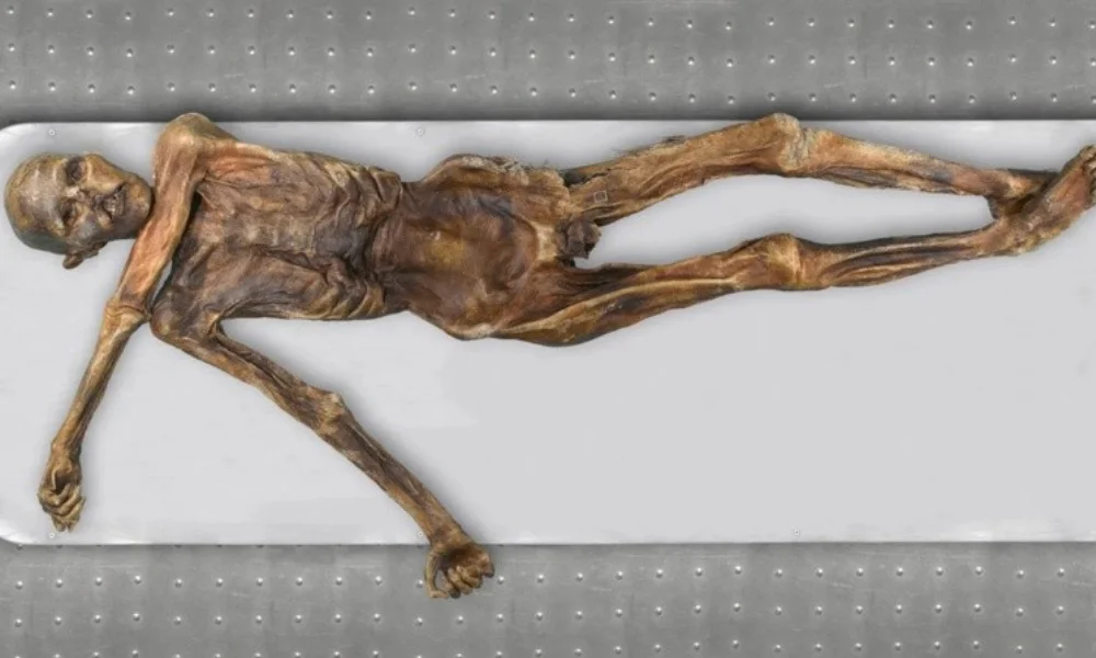 El experimento fue realizado con levaduras aisladas de Ötzi, el Hombre de Hielo hallado en los Alpes.